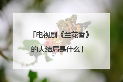电视剧《兰花香》的大结局是什么