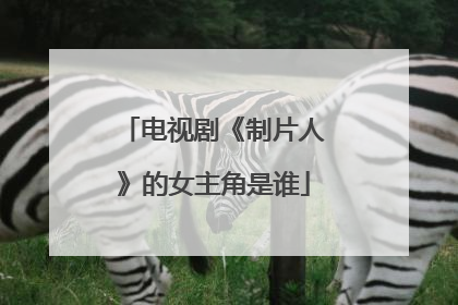 电视剧《制片人》的女主角是谁