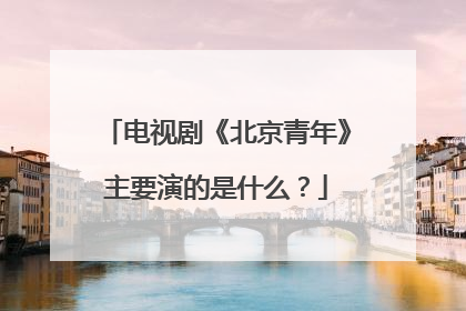 电视剧《北京青年》主要演的是什么？