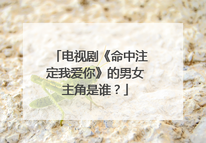 电视剧《命中注定我爱你》的男女主角是谁?