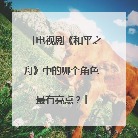 电视剧《和平之舟》中的哪个角色最有亮点？