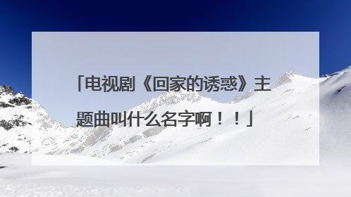 电视剧《回家的诱惑》主题曲叫什么名字啊!!