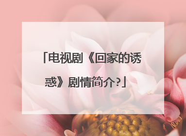 电视剧《回家的诱惑》剧情简介?