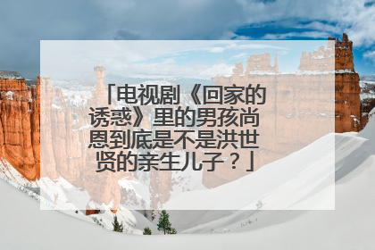 电视剧《回家的诱惑》里的男孩尚恩到底是不是洪世贤的亲生儿子?