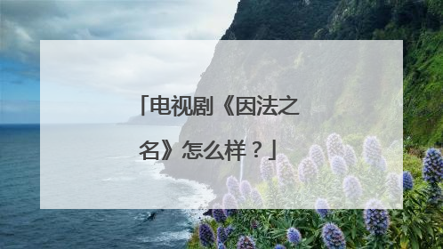 电视剧《因法之名》怎么样?