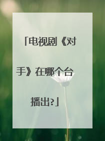 电视剧《对手》在哪个台播出?