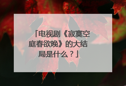 电视剧《寂寞空庭春欲晚》的大结局是什么?