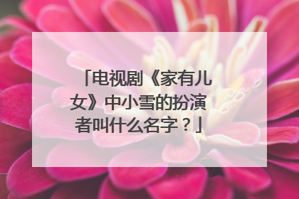 电视剧《家有儿女》中小雪的扮演者叫什么名字？