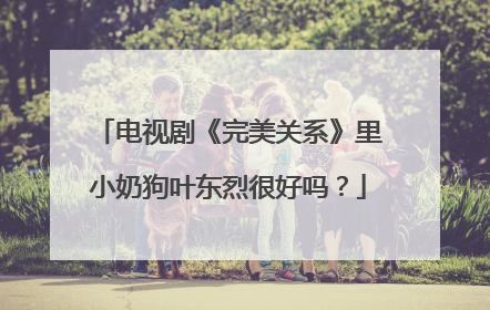 电视剧《完美关系》里小奶狗叶东烈很好吗?