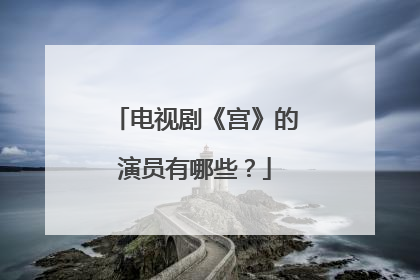 电视剧《宫》的演员有哪些？