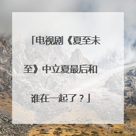 电视剧《夏至未至》中立夏最后和谁在一起了?
