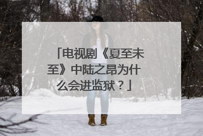 电视剧《夏至未至》中陆之昂为什么会进监狱?