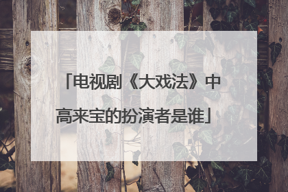 电视剧《大戏法》中高来宝的扮演者是谁