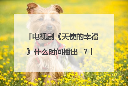 电视剧《天使的幸福》什么时间播出 ?