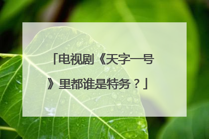 电视剧《天字一号》里都谁是特务？