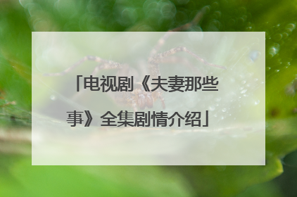 电视剧《夫妻那些事》全集剧情介绍