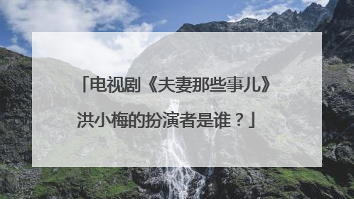 电视剧《夫妻那些事儿》洪小梅的扮演者是谁?