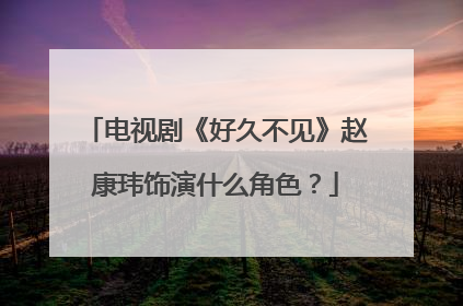 电视剧《好久不见》赵康玮饰演什么角色？