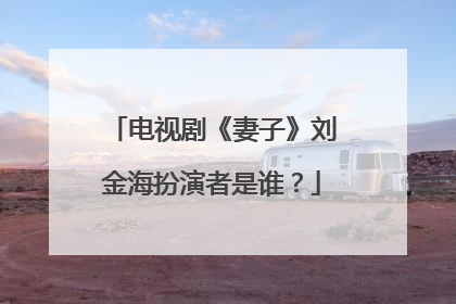 电视剧《妻子》刘金海扮演者是谁？