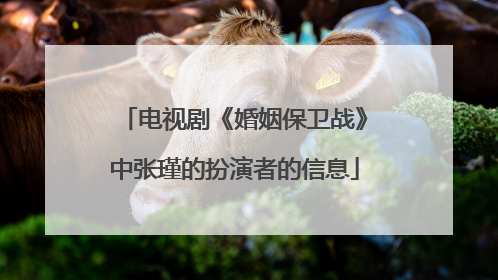 电视剧《婚姻保卫战》中张瑾的扮演者的信息