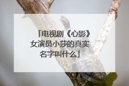 电视剧《心影》女演员小莎的真实名字叫什么