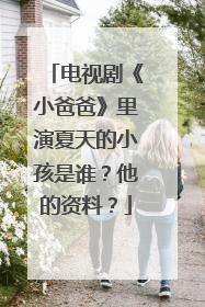 电视剧《小爸爸》里演夏天的小孩是谁？他的资料？