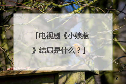 电视剧《小娘惹》结局是什么?