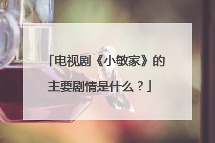 电视剧《小敏家》的主要剧情是什么?