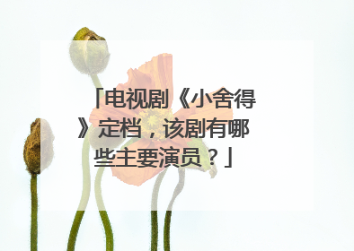 电视剧《小舍得》定档，该剧有哪些主要演员？