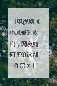 电视剧《小风暴》收官，网友如何评价这部作品？