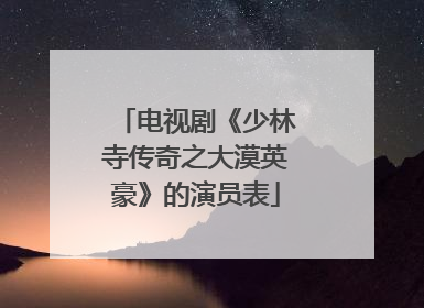 电视剧《少林寺传奇之大漠英豪》的演员表
