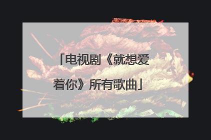 电视剧《就想爱着你》所有歌曲
