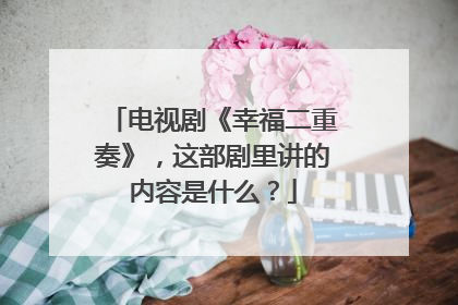 电视剧《幸福二重奏》，这部剧里讲的内容是什么？