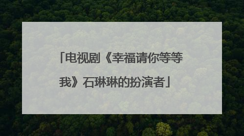 电视剧《幸福请你等等我》石琳琳的扮演者