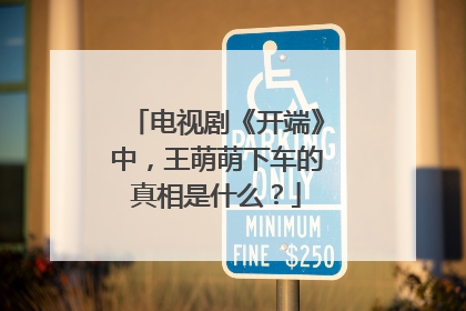 电视剧《开端》中，王萌萌下车的真相是什么？