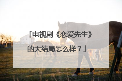 电视剧《恋爱先生》的大结局怎么样?