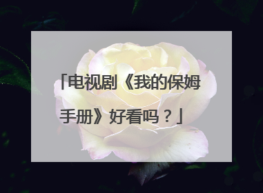电视剧《我的保姆手册》好看吗?