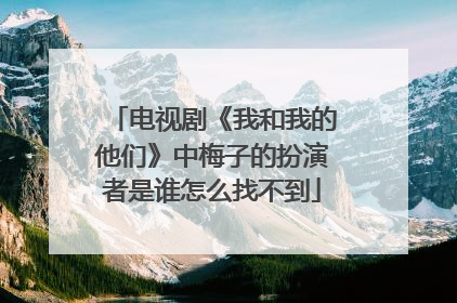 电视剧《我和我的他们》中梅子的扮演者是谁怎么找不到