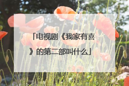 电视剧《我家有喜》的第二部叫什么