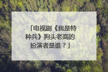 电视剧《我是特种兵》狗头老高的扮演者是谁?