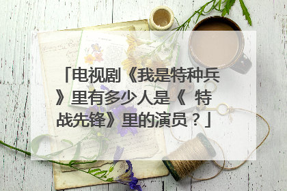 电视剧《我是特种兵》里有多少人是《 特战先锋》里的演员?