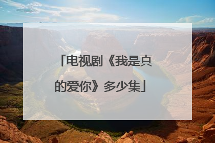 电视剧《我是真的爱你》多少集