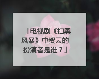 电视剧《扫黑风暴》中贺云的扮演者是谁？