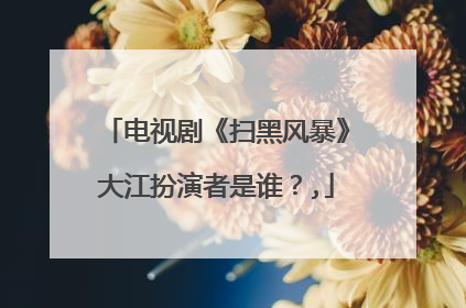 电视剧《扫黑风暴》大江扮演者是谁？,