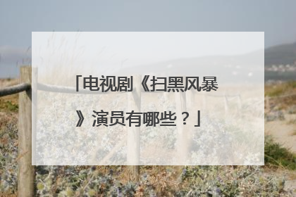 电视剧《扫黑风暴》演员有哪些？