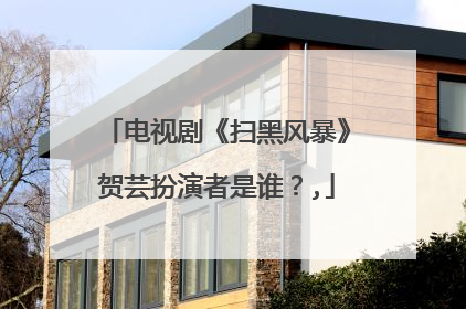 电视剧《扫黑风暴》贺芸扮演者是谁？,