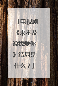 电视剧《来不及说我爱你》结局是什么？