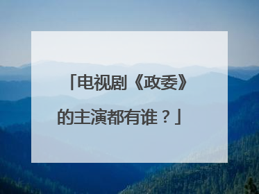 电视剧《政委》的主演都有谁?