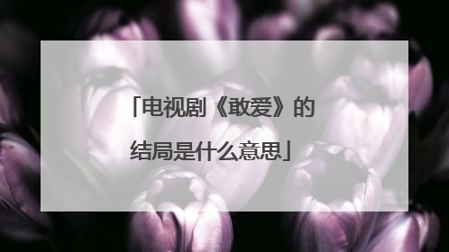 电视剧《敢爱》的结局是什么意思