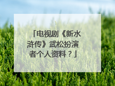 电视剧《新水浒传》武松扮演者个人资料?